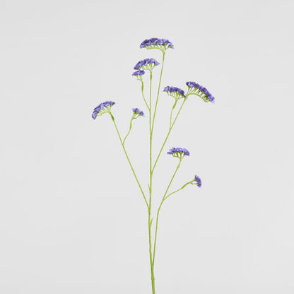 Rosemary Lavender 92cm