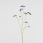 Rosemary Lavender 92cm