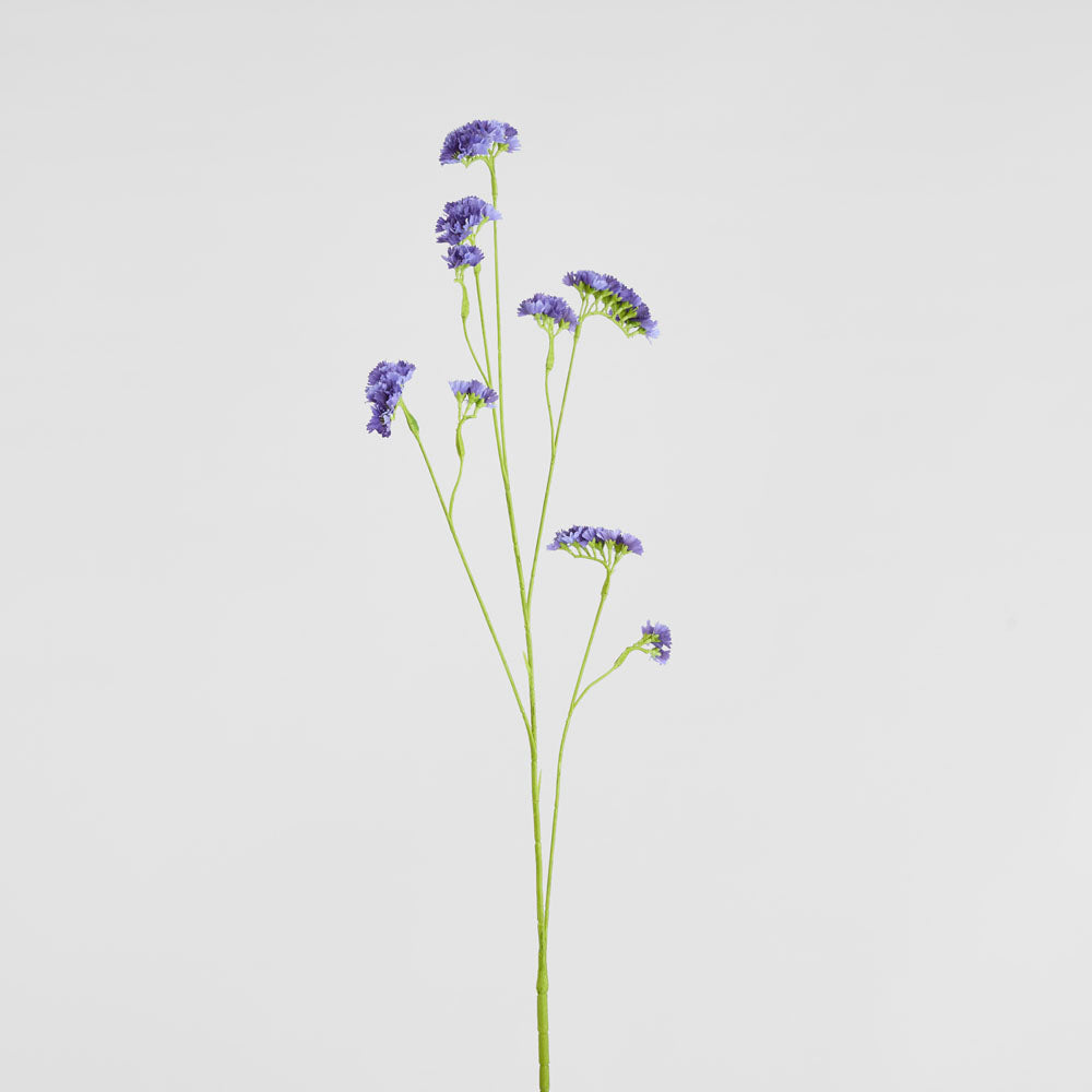 Rosemary Lavender 92cm