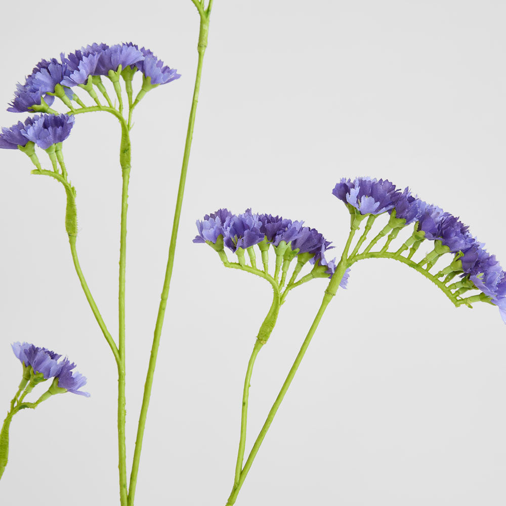 Rosemary Lavender 92cm