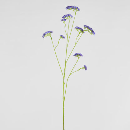 Rosemary Lavender 92cm