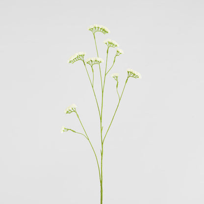 Rosemary White 92cm