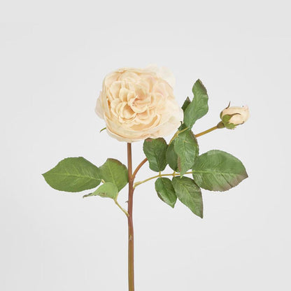 Cabbage Real Touch Rose Stem 49cm Blush