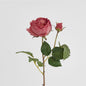 Cabbage Real Touch Rose Stem 49cm Rouge