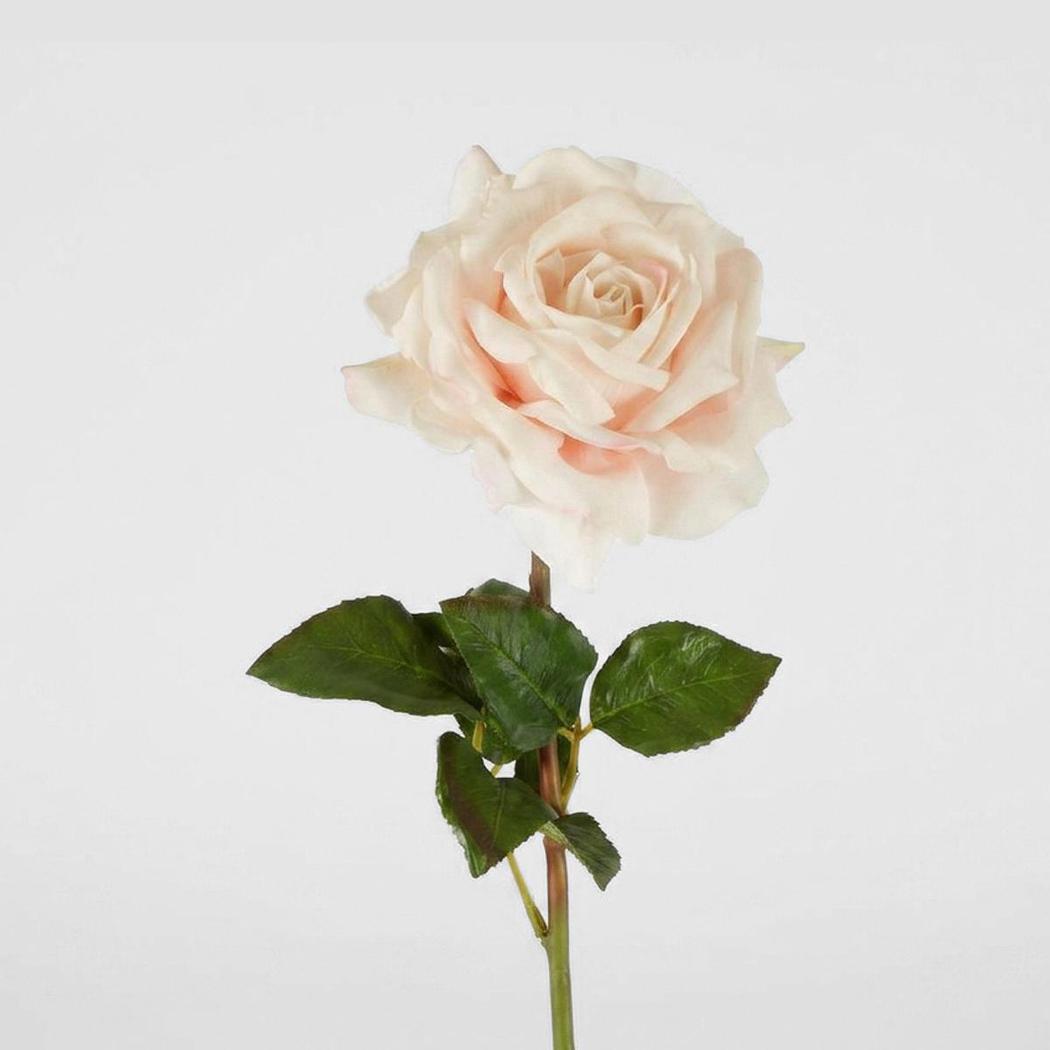 Stella Real Touch Rose Stem 50cm Blush