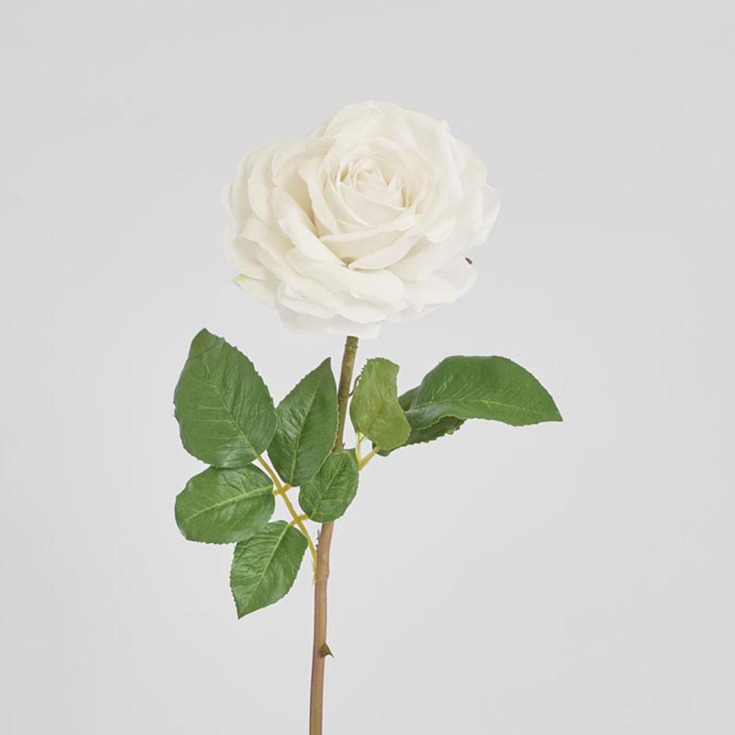 Stella Real Touch Rose Stem 50cm White