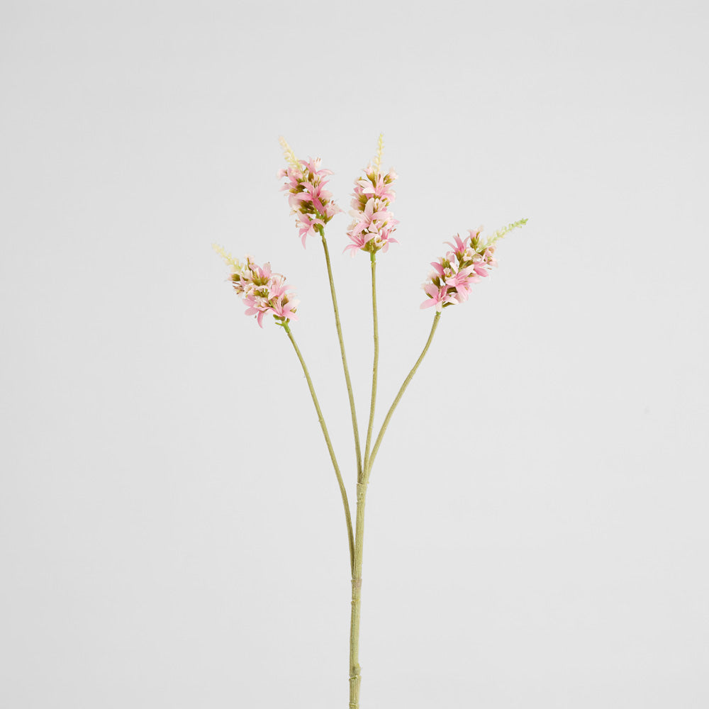 Salvia Nutans Sage Spray 84cm Pink 2 pcs