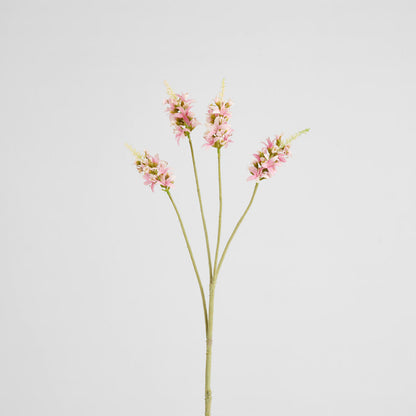 Salvia Nutans Sage Spray 84cm Pink 2 pcs