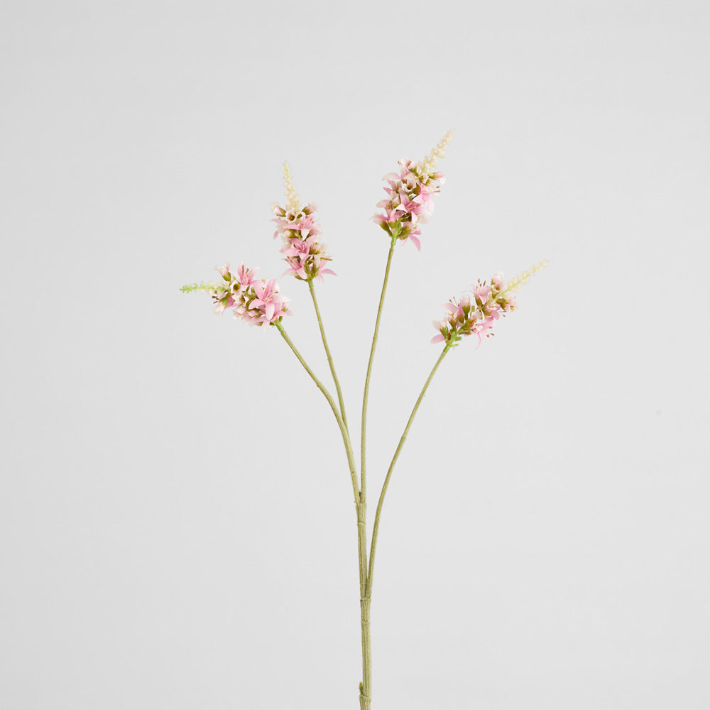 Salvia Nutans Sage Spray 84cm Pink 2 pcs