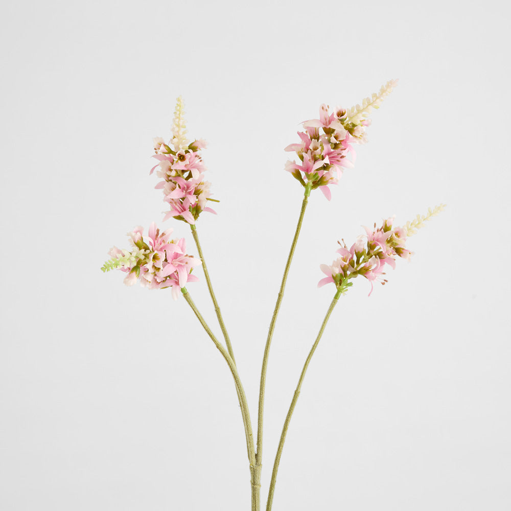 Salvia Nutans Sage Spray 84cm Pink 2 pcs