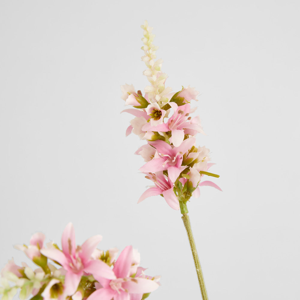 Salvia Nutans Sage Spray 84cm Pink 2 pcs