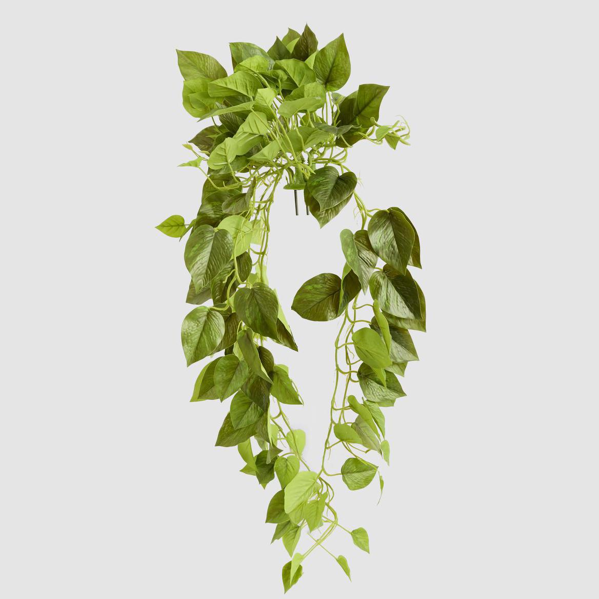 Potted Hanging Real Touch Scindapsus Bush 83cm