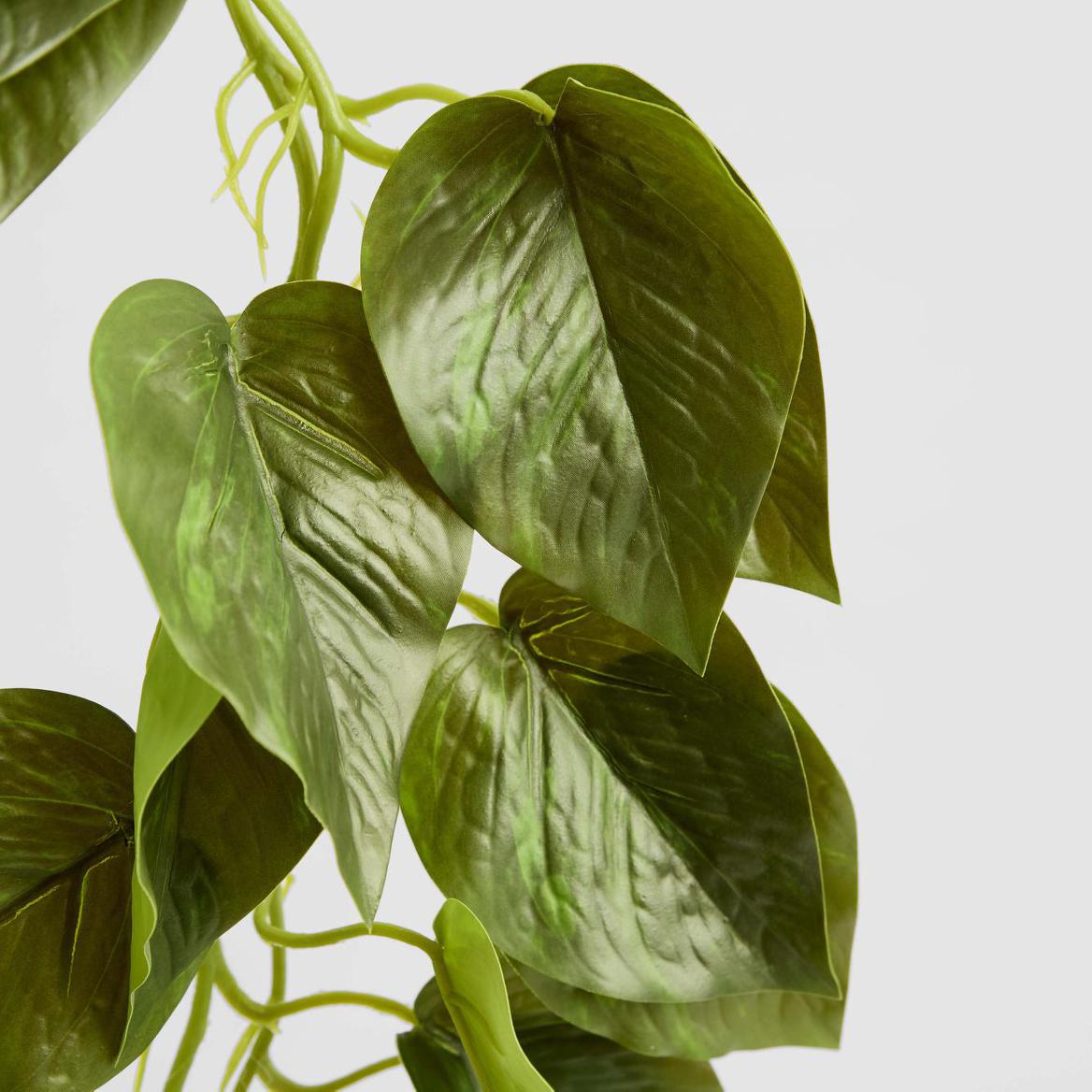 Potted Hanging Real Touch Scindapsus Bush 83cm