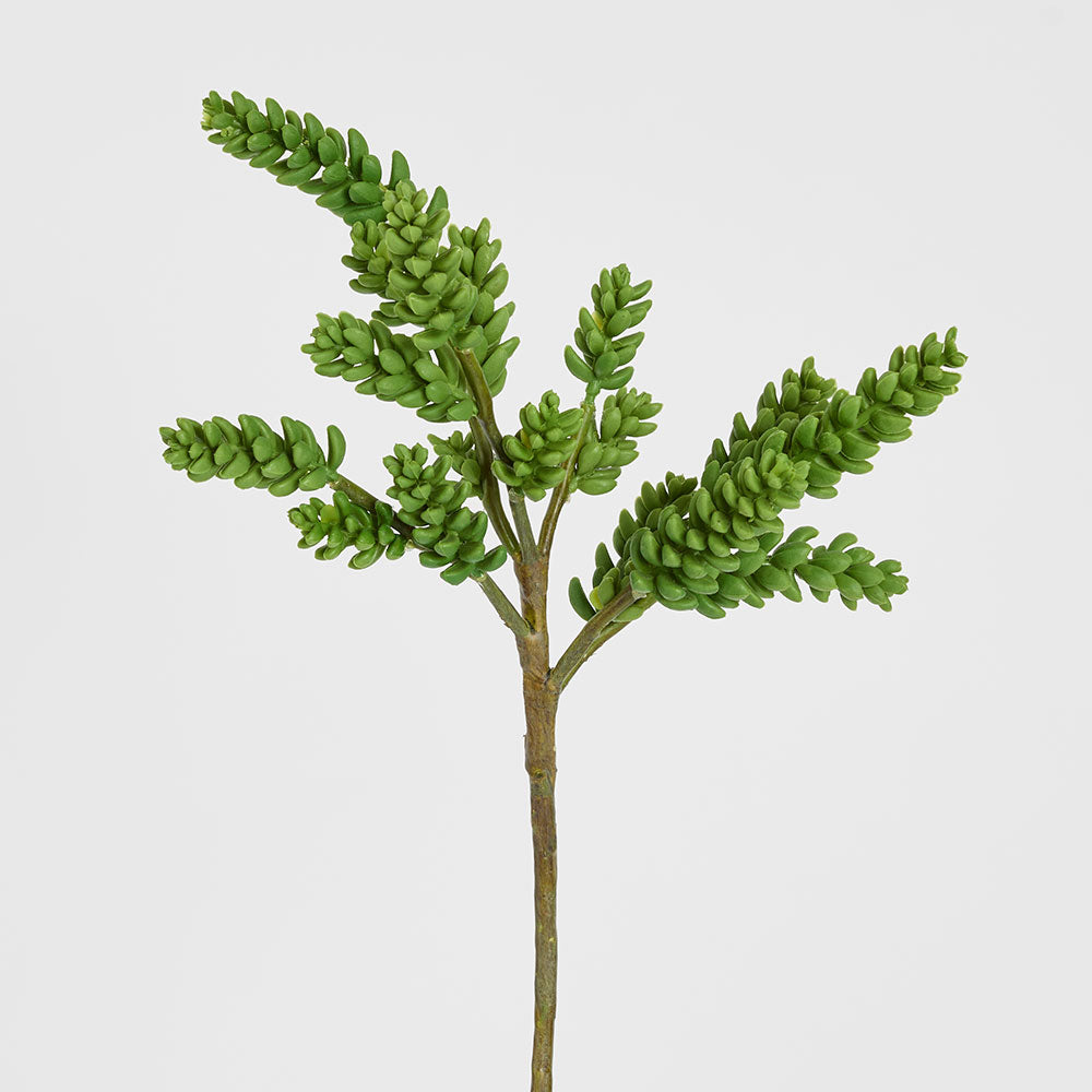 Succulent 37cm