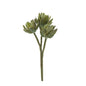 Agave succulent Stem 20cm Green 6 pcs