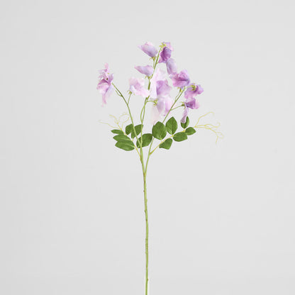 Sweetpea Spray 70cm Lavender 6 pcs