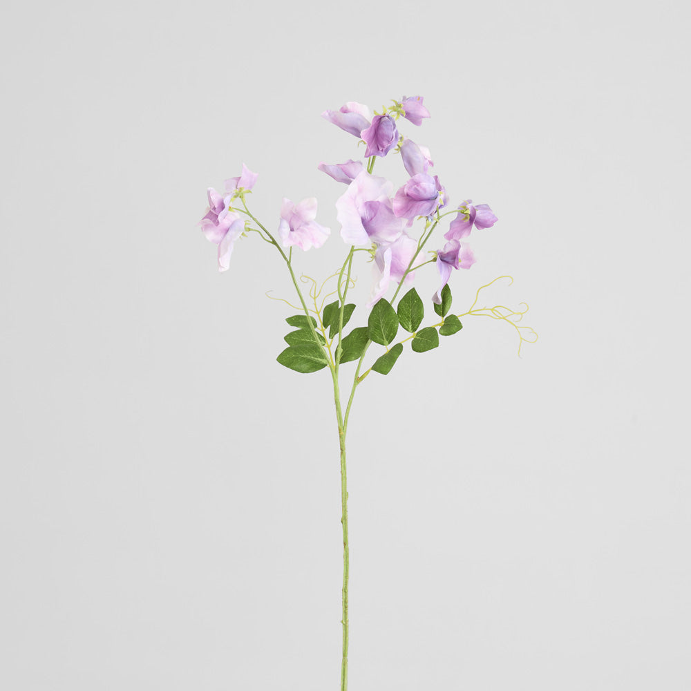 Sweetpea Spray 70cm Lavender 6 pcs
