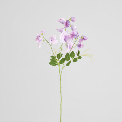 Sweetpea Spray 70cm Lavender 6 pcs
