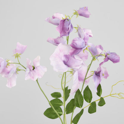 Sweetpea Spray 70cm Lavender 6 pcs