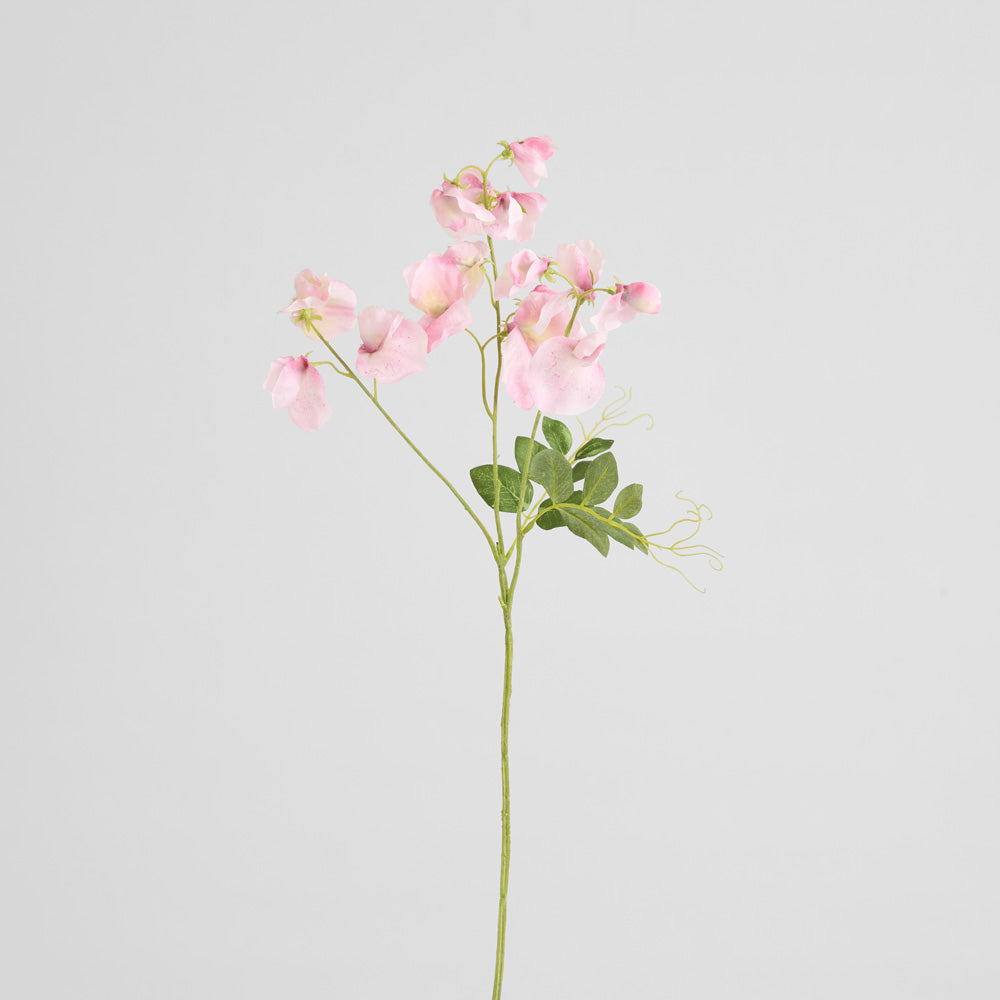 Sweetpea Spray 70cm Pink 6 pcs