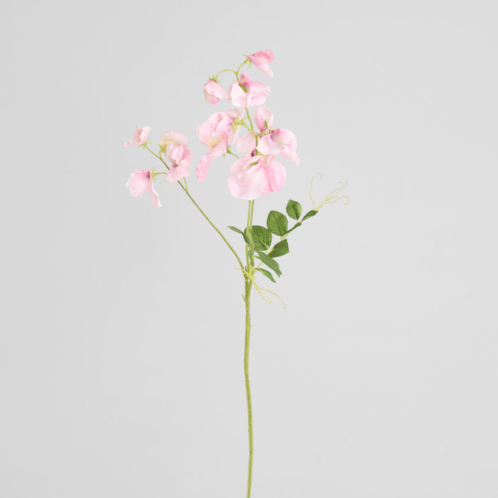 Sweetpea Spray 70cm Pink 6 pcs