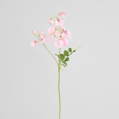 Sweetpea Spray 70cm Pink 6 pcs