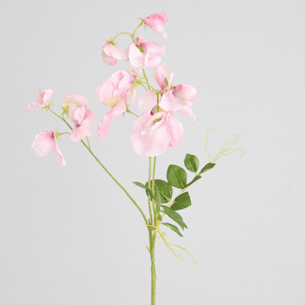 Sweetpea Spray 70cm Pink 6 pcs