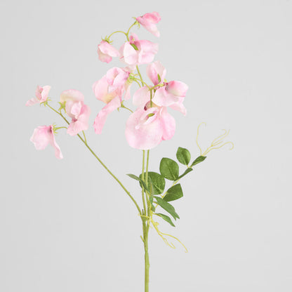 Sweetpea Spray 70cm Pink 6 pcs
