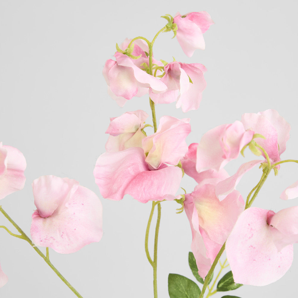 Sweetpea Spray 70cm Pink 6 pcs