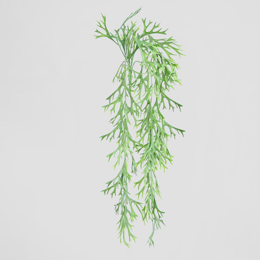 Staghorn Leaves Hanging Vine 70cm 6 pcs