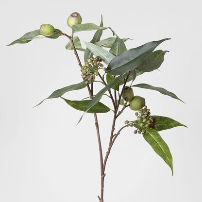 Gumnut Eucalyptus berry Seed Spray 75cm Green