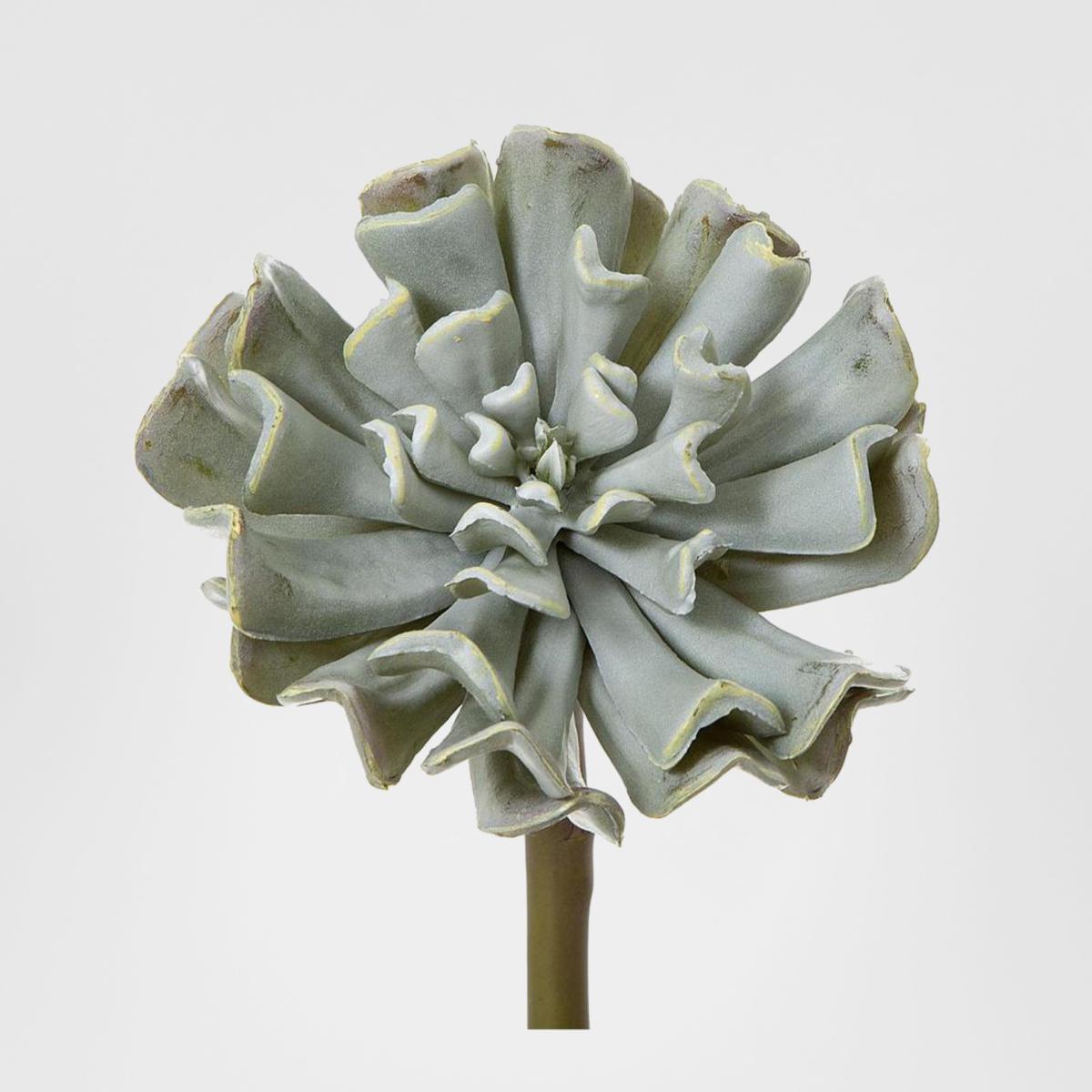 Wavy Succulent 20cm Grey 6 pcs