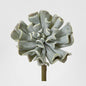 Wavy Succulent 20cm Grey 6 pcs