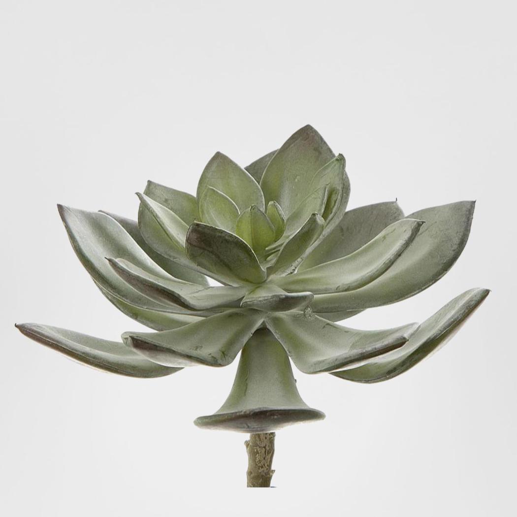 Succulent Pearl Pick 15cm Grey 6 pcs