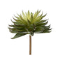 Succulent Spray 6 pcs
