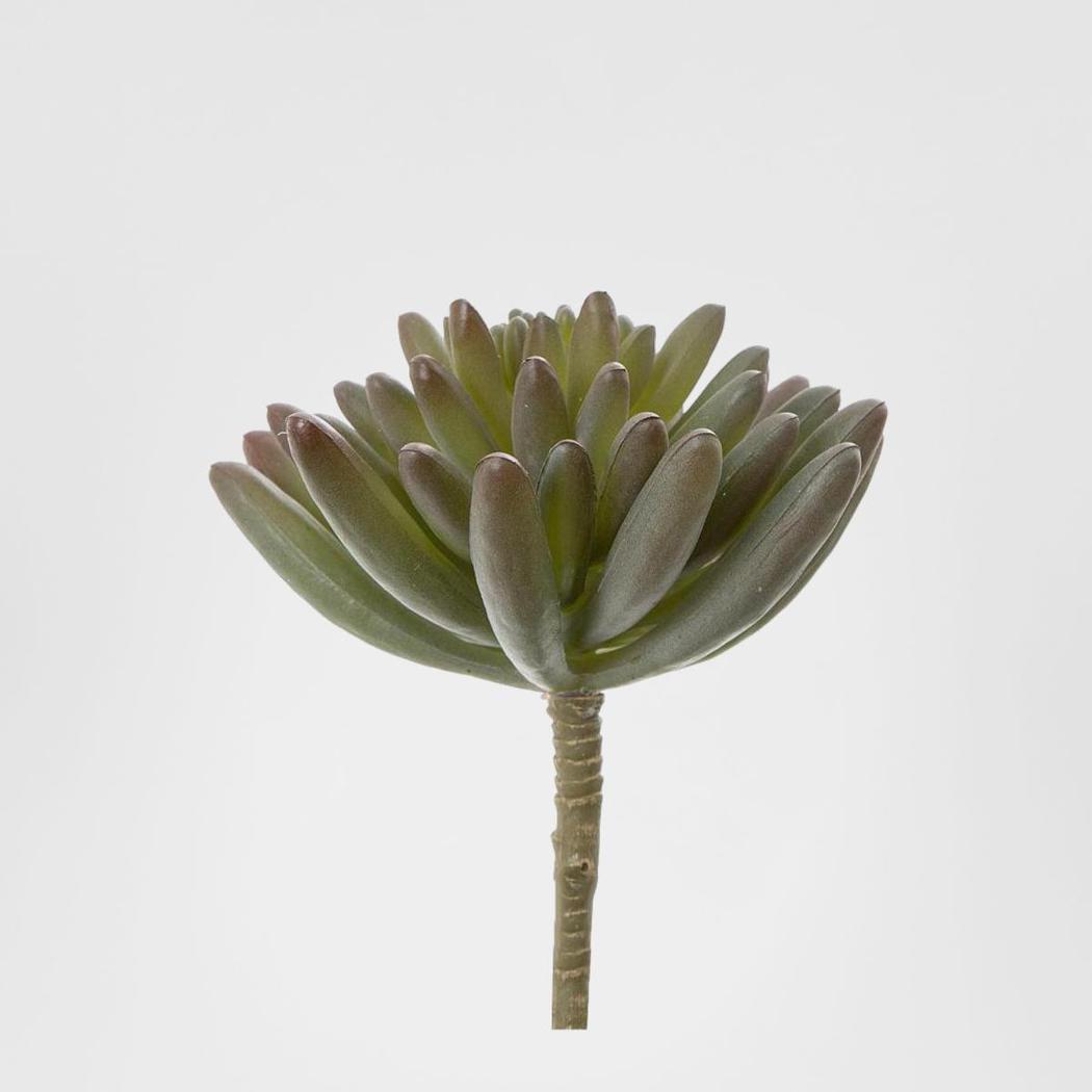 Succulent Spray Burgundy 6 pcs