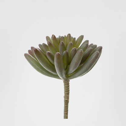 Succulent Spray Burgundy 6 pcs