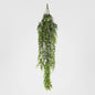 Staghorn Hanging 80cm
