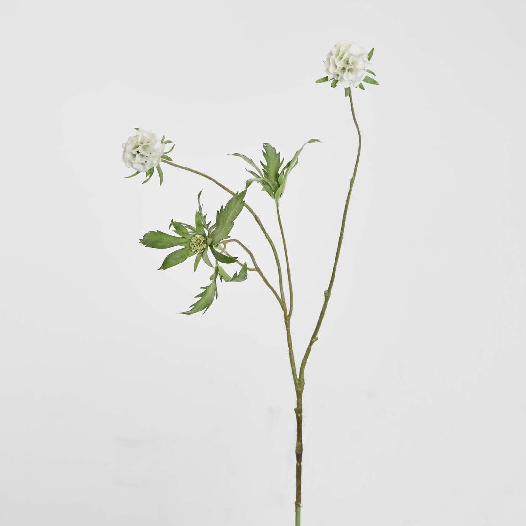 Scabiosa Spray 94cm