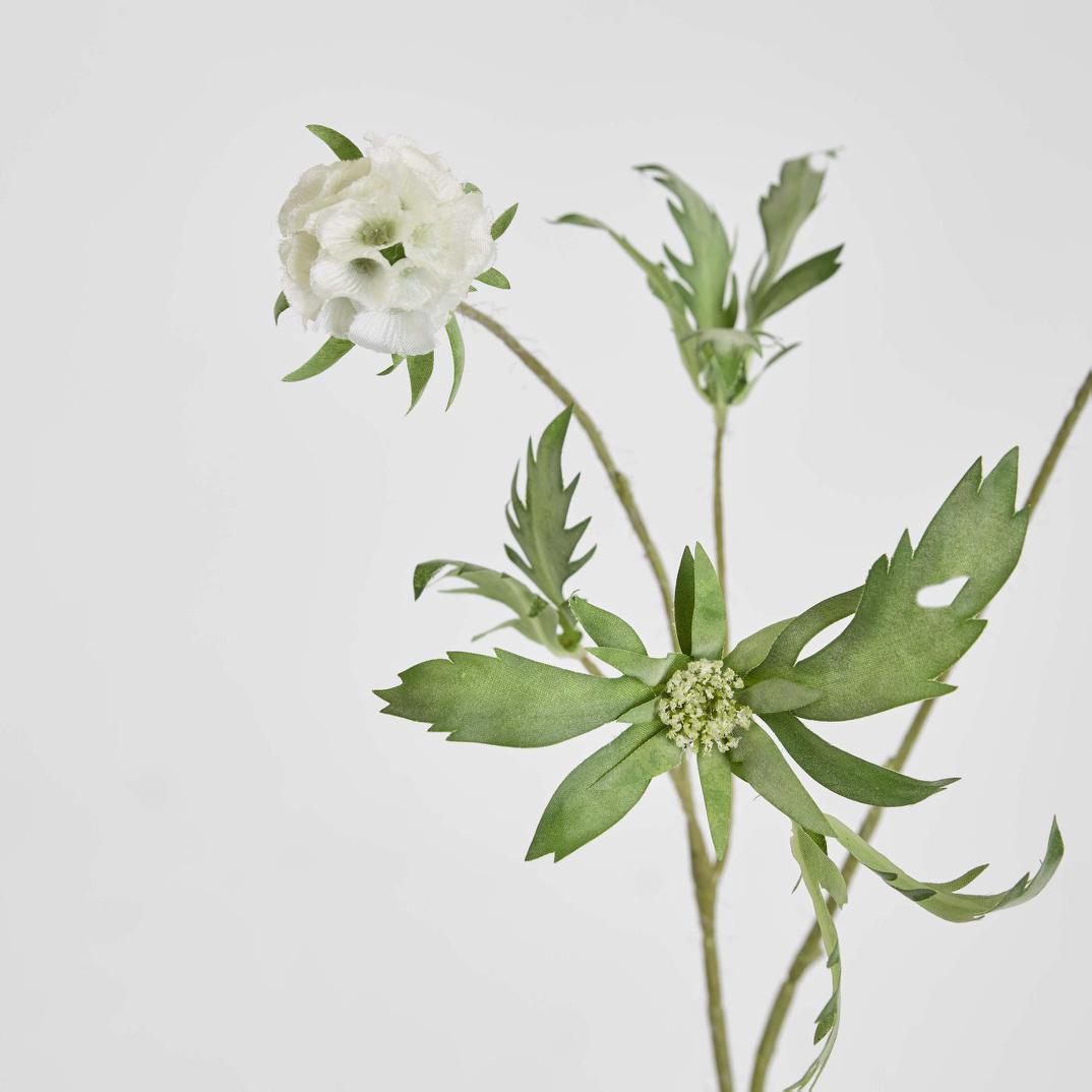 Scabiosa Spray 94cm