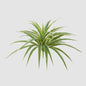 Real Touch Dracaena Bush Green 43cm
