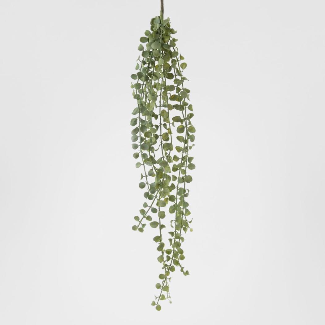 Succulent Hanging Vine 85cm
