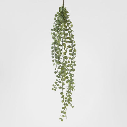 Succulent Hanging Vine 85cm