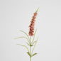Veronica Speedwell Flower Stem 103cm Pink 6 pcs
