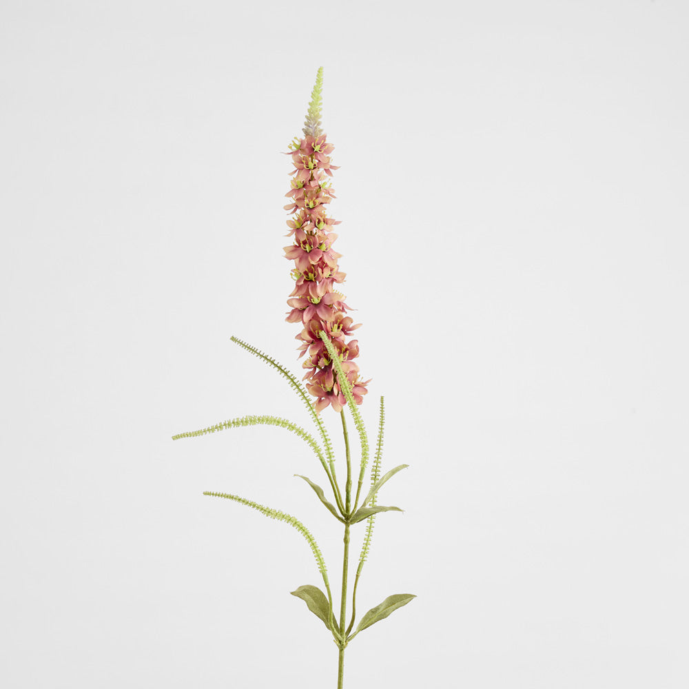 Veronica Speedwell Flower Stem 103cm Pink 6 pcs