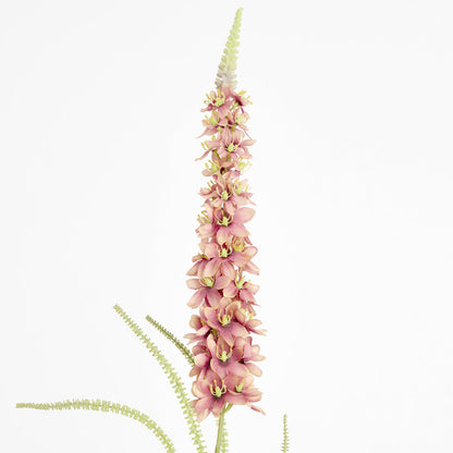 Veronica Speedwell Flower Stem 103cm Pink 6 pcs