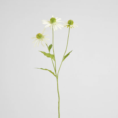 Black Eye Susan Stem 65cm White 6 pcs