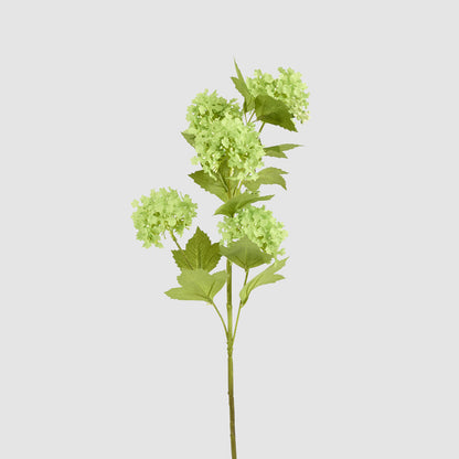 Snowball Spray Green