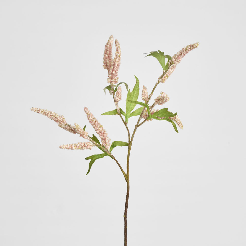 Sage Stem 70cm Pink 6 pcs