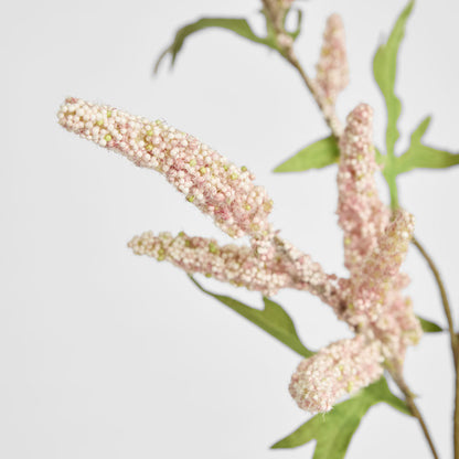 Sage Stem 70cm Pink 6 pcs